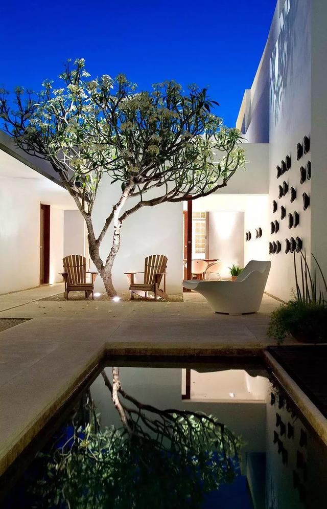 糖果儿■等老了，希望有个小院，几盆盆景