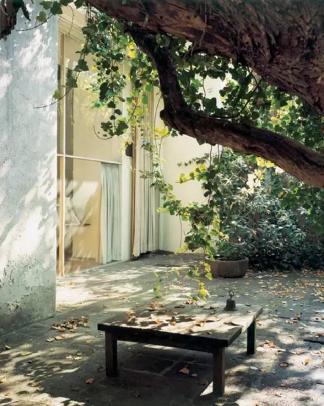 糖果儿■等老了，希望有个小院，几盆盆景