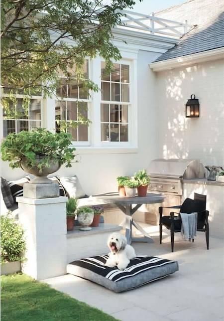 糖果儿■等老了，希望有个小院，几盆盆景