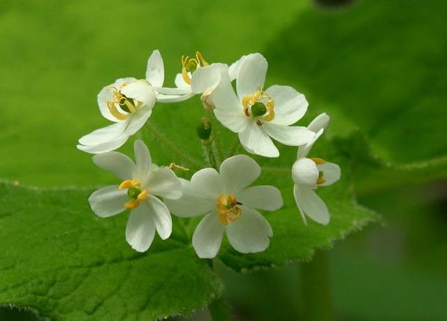 感悟哲理美文：最好的爱，是有你相伴