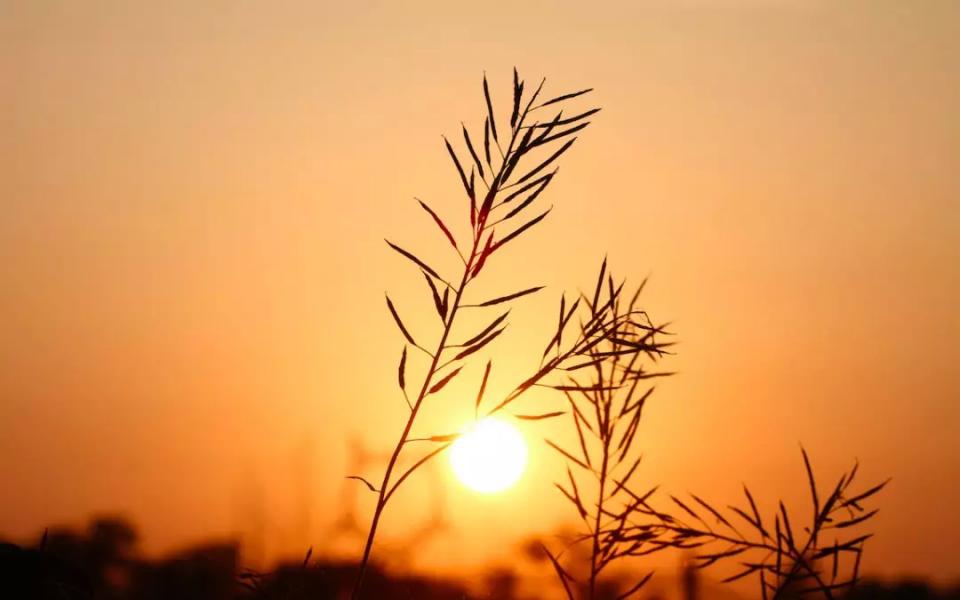 一正能量一@不想说，不会说，也不愿说