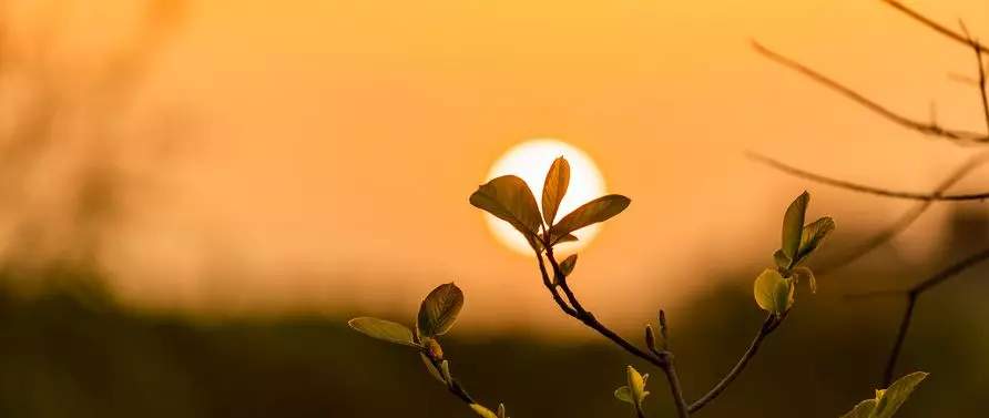 一正能量一@不想说，不会说，也不愿说