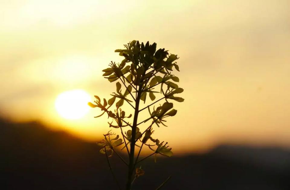 一正能量一@不想说，不会说，也不愿说