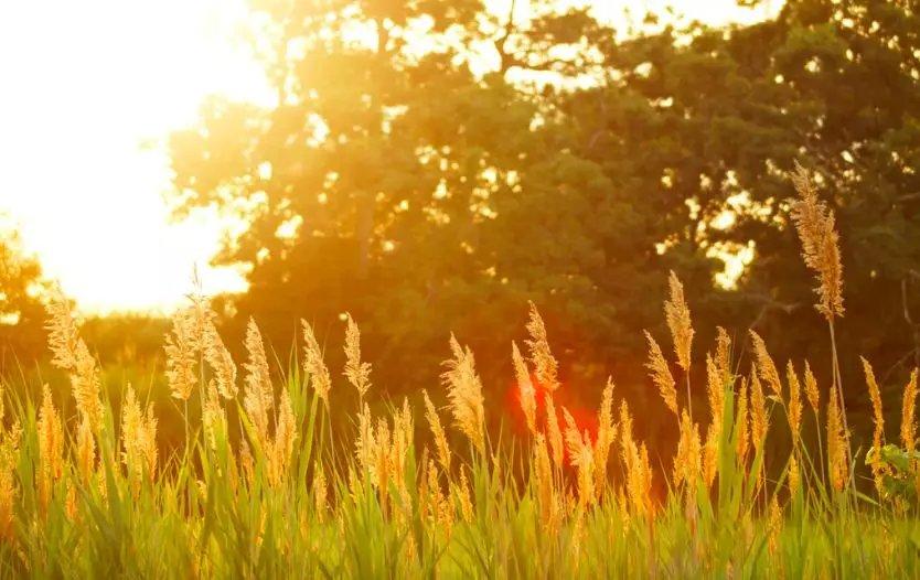 一正能量一@不想说，不会说，也不愿说