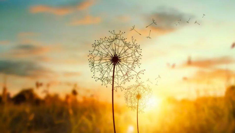 一正能量一@不想说，不会说，也不愿说