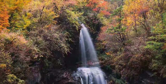 【励志司机蕊蕊】人生的道路万千条，不管你走哪一条，最终都会到达同一个终点