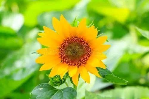 「梅姐有话说」遇到你，才知道什么是想念