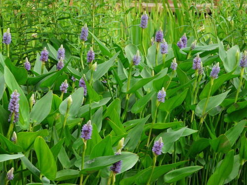 强强联手在乐趣：哪怕孤独终老，也绝不凑合