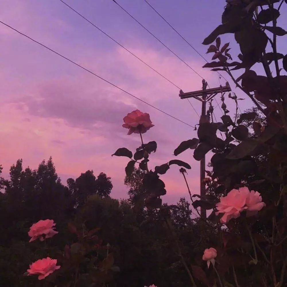 [小核桃的情感杂货铺]人在低谷时，不要打扰任何人