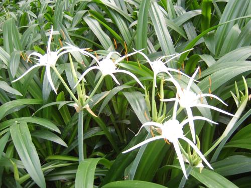 [强强联手在乐趣]其实所谓的撞大运，都是提前规划，提前安排