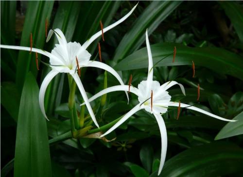 [强强联手在乐趣]其实所谓的撞大运，都是提前规划，提前安排