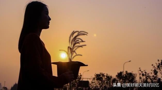 [竹之道]人生是一场追求，也是一场领悟。