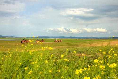 「强强联手在乐趣」很多时候，纠结于对错，比选错更闹心
