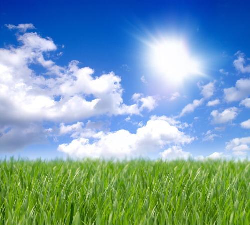 「强强联手在乐趣」很多时候，纠结于对错，比选错更闹心