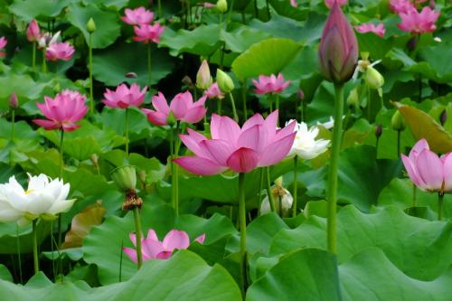 强强联手在乐趣：累了，请放过自己，但随时保持热情