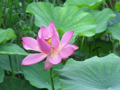 强强联手在乐趣：累了，请放过自己，但随时保持热情