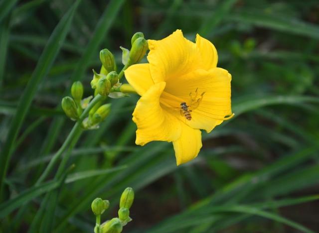 励志的娱乐：愿你心有阳光，品性善良