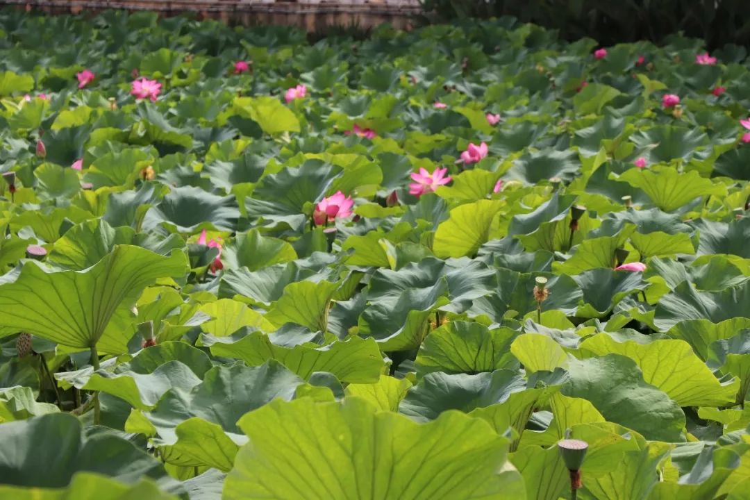 雅医聚宝■冷读术：有助于工作、恋爱的小技巧— 第一次见面就能掌握主导权