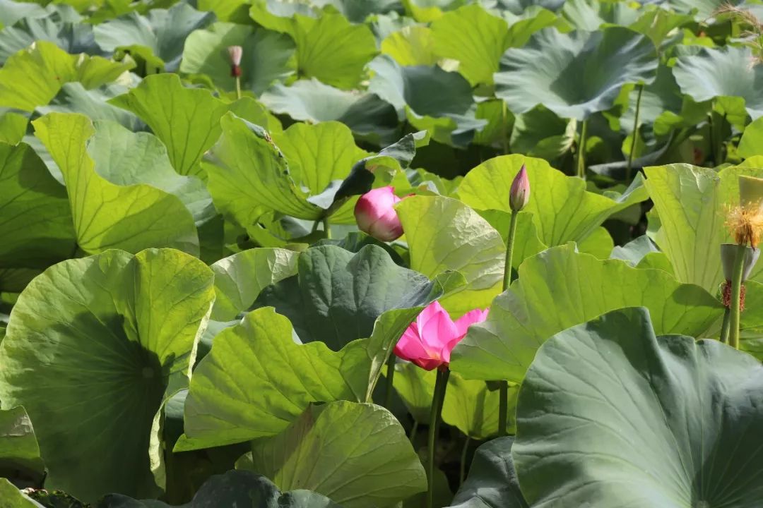 雅医聚宝■冷读术：有助于工作、恋爱的小技巧— 第一次见面就能掌握主导权