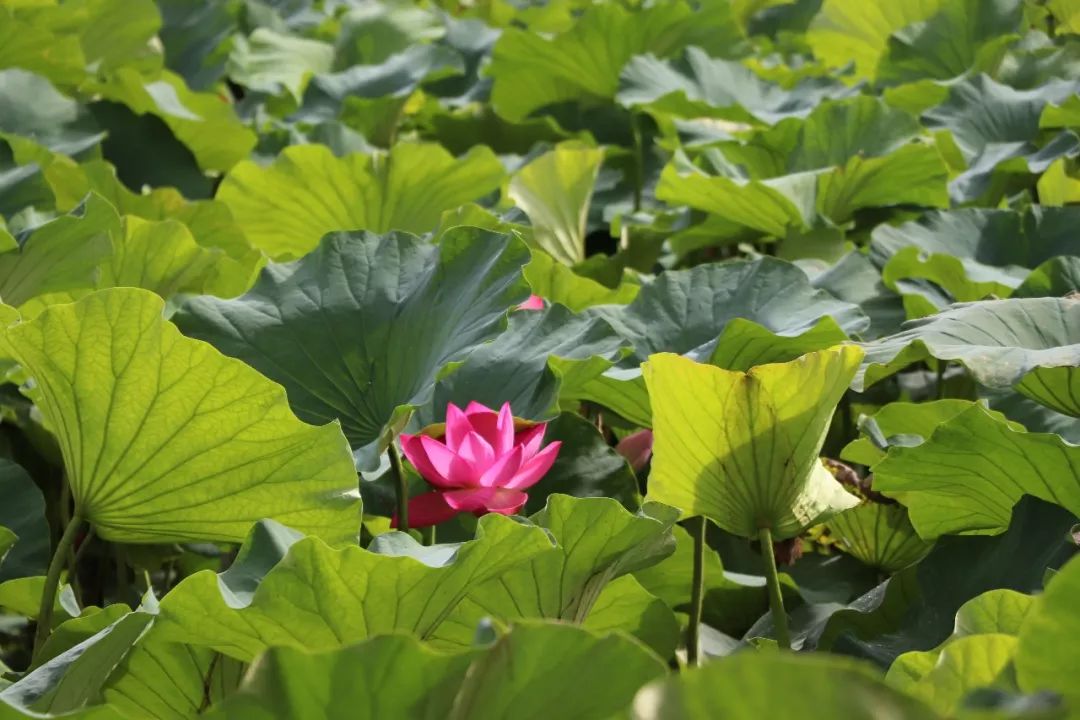 雅医聚宝■冷读术：有助于工作、恋爱的小技巧— 第一次见面就能掌握主导权