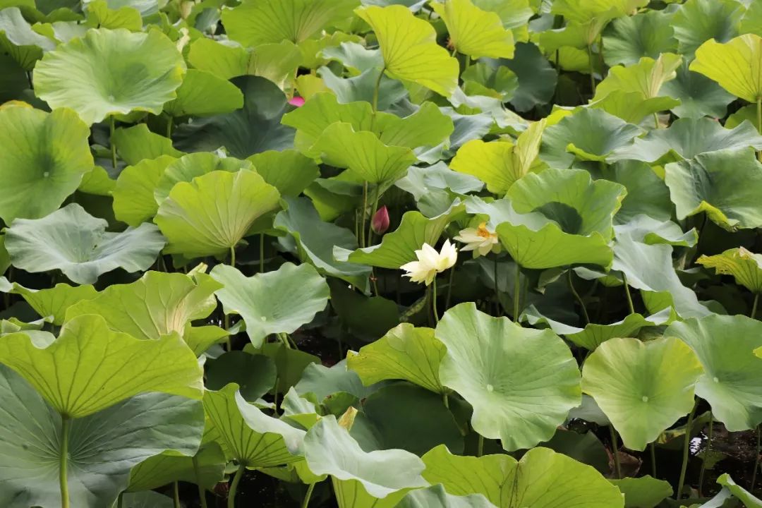 雅医聚宝■冷读术：有助于工作、恋爱的小技巧— 第一次见面就能掌握主导权