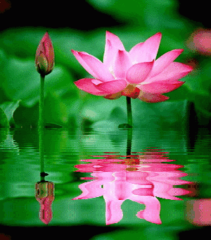 「励志司机小贺」对自己好一点儿！人生短暂，且活且珍惜啊