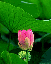 「励志司机小贺」对自己好一点儿！人生短暂，且活且珍惜啊