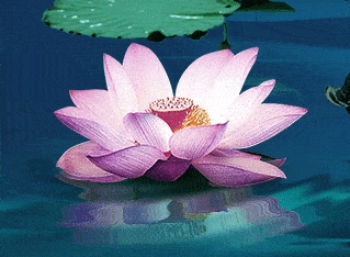 「励志司机小贺」对自己好一点儿！人生短暂，且活且珍惜啊