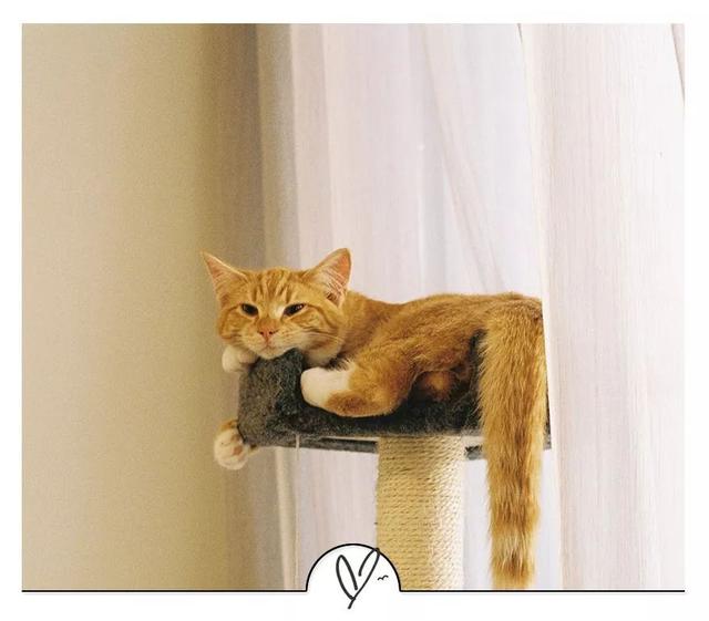 「大视野」情商高的人，绝不说这9句话