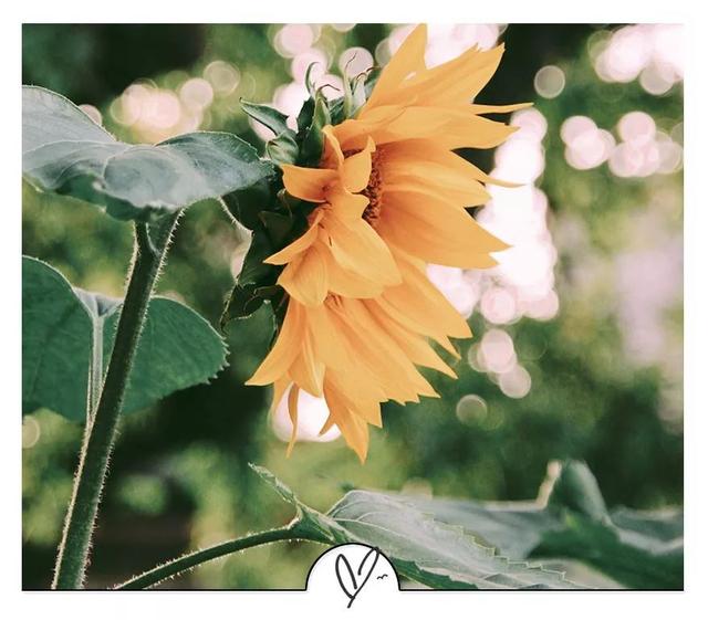 「大视野」情商高的人，绝不说这9句话