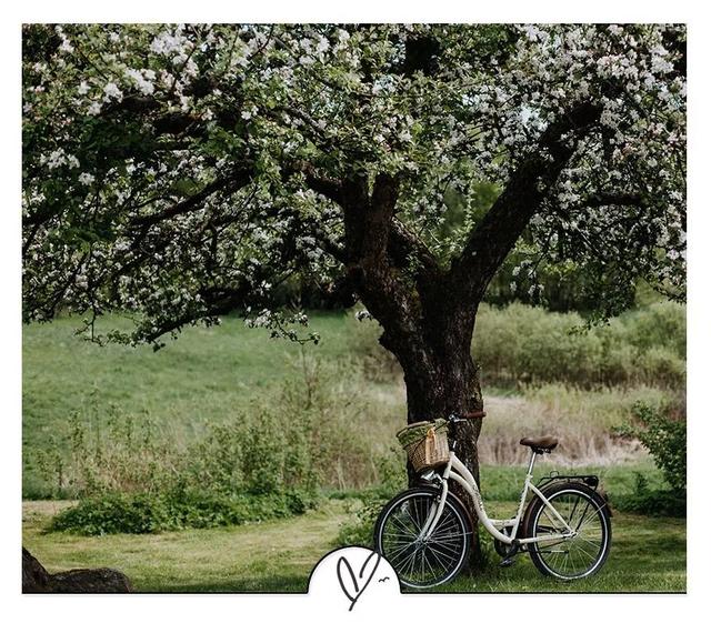 「大视野」情商高的人，绝不说这9句话