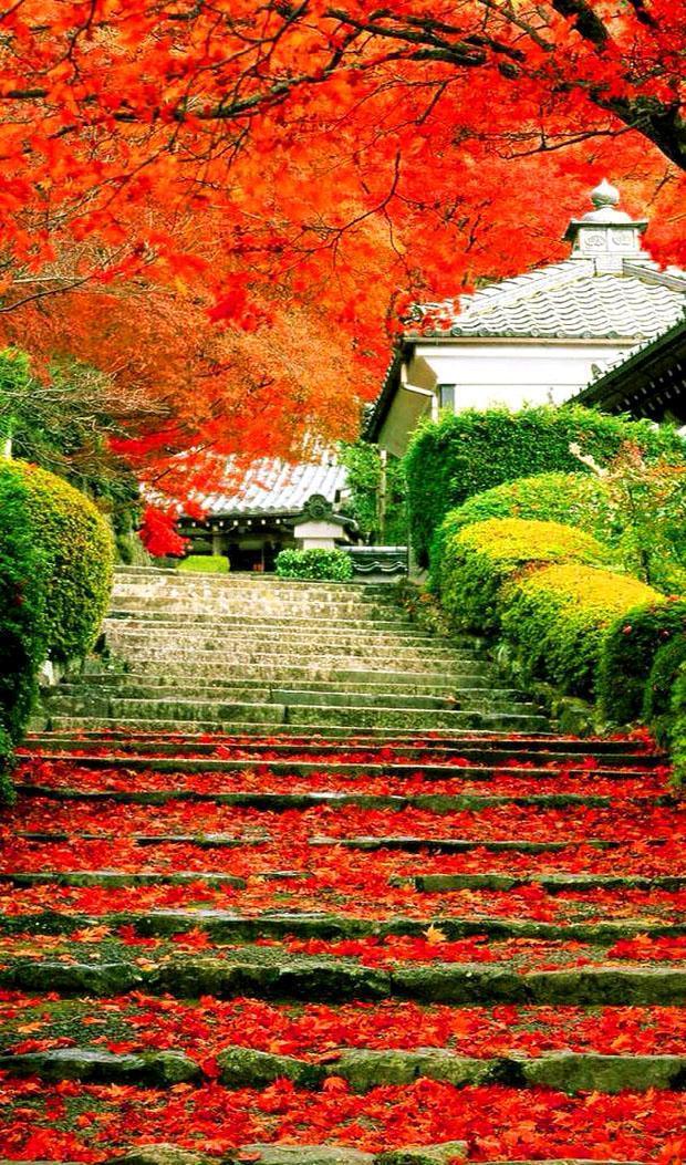 [佳作有约]深秋，渐行渐远，无限感怀