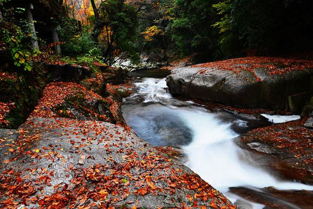 [佳作有约]深秋，渐行渐远，无限感怀
