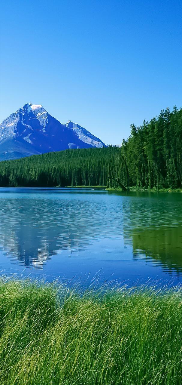 [佳作有约]深秋，渐行渐远，无限感怀