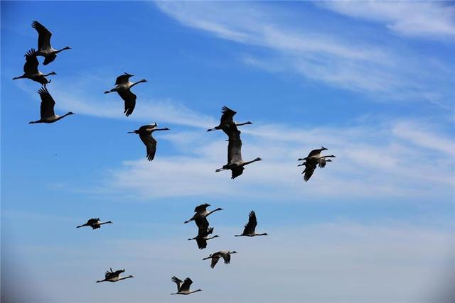 [佳作有约]深秋，渐行渐远，无限感怀