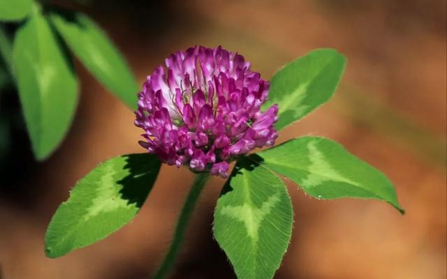 励志司机锐锐@人是活给自己的，别奢望人人都懂你，别要求事事都如意，早安