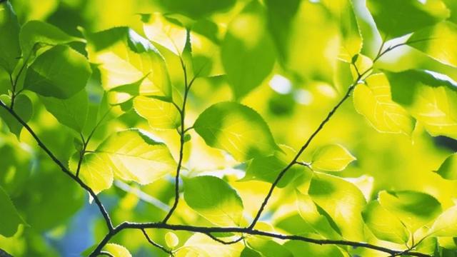 励志司机锐锐@人是活给自己的，别奢望人人都懂你，别要求事事都如意，早安