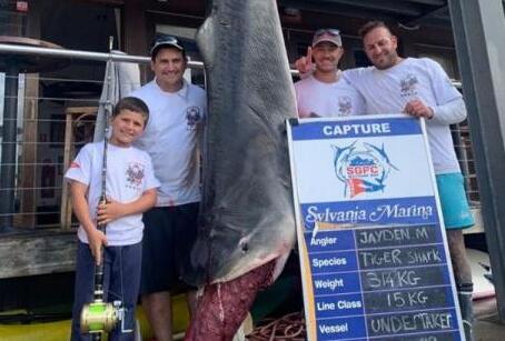 男童捕628斤巨鲨什么情况 男童是如何捕628斤巨鲨