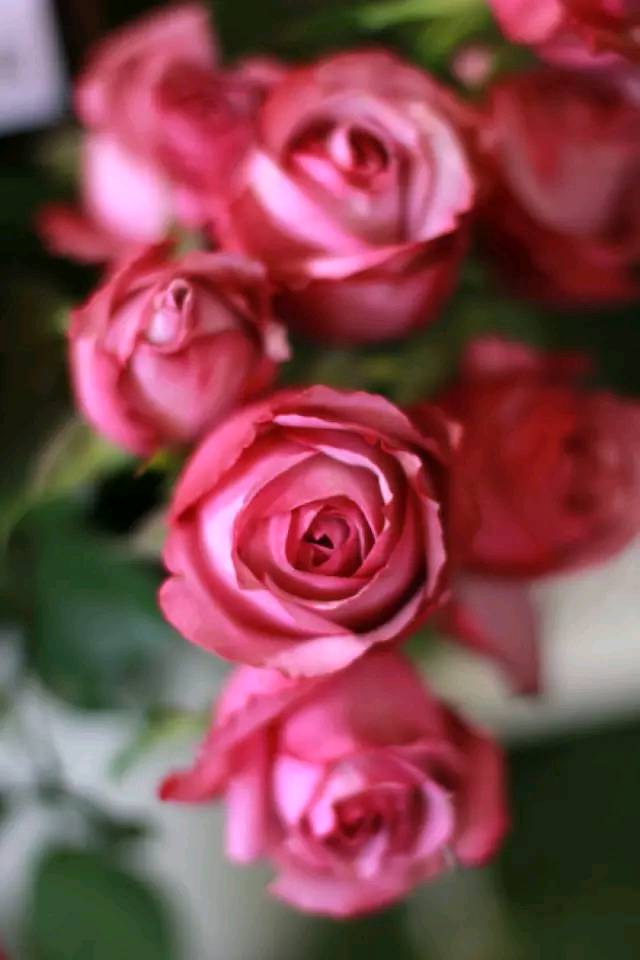 道与欢同学：心想多了遭罪，身累久了疲惫，情握狠了会累