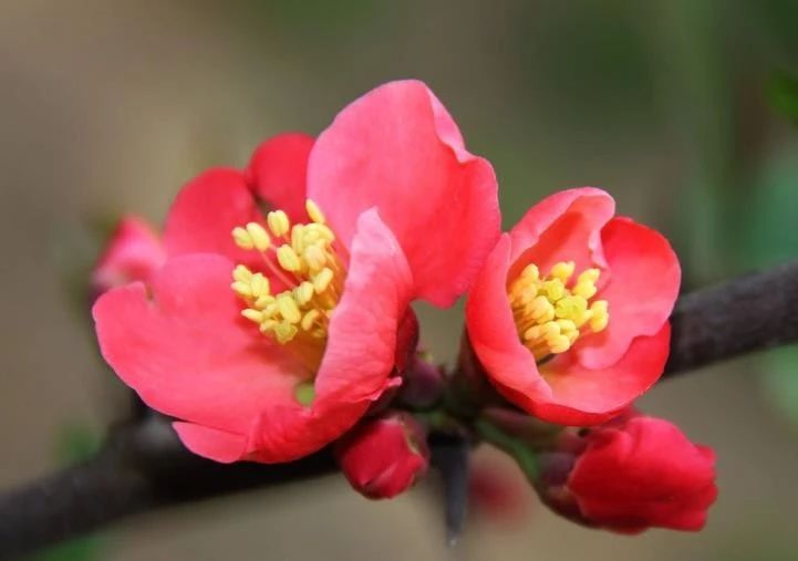 天天励志正能量：行船趁顺风，打铁趁火红，一鼓作气才能成功