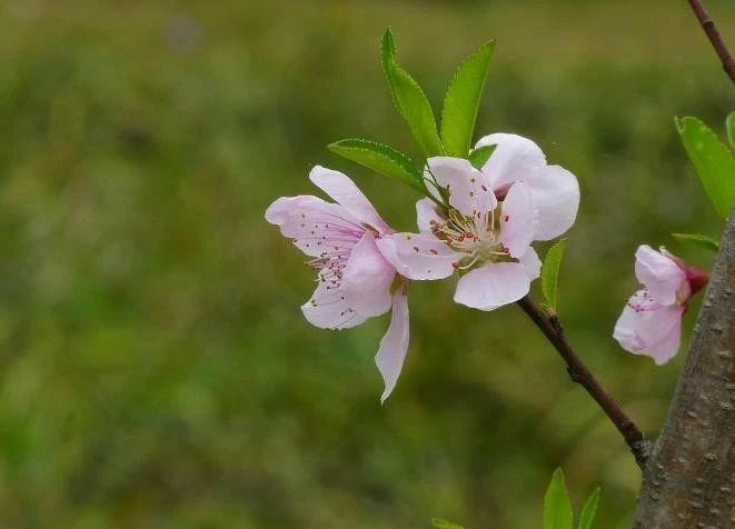 天天励志正能量：行船趁顺风，打铁趁火红，一鼓作气才能成功