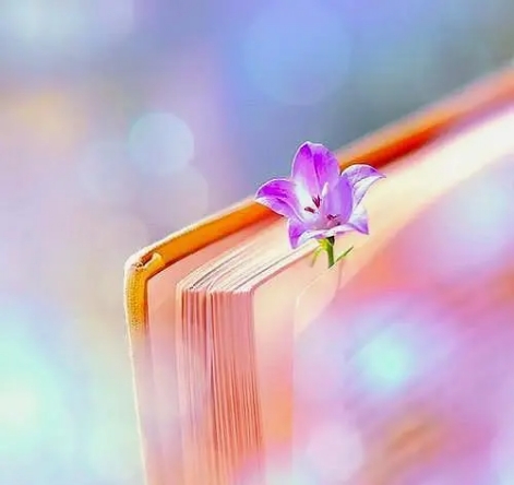 [小伙走农村]女人到中年，逼自己养成这些好习惯，余生会很幸福