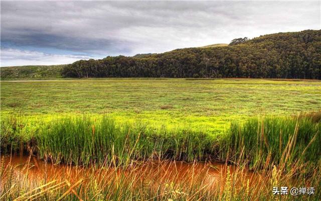 「大大说」说能说的话，做可做的事