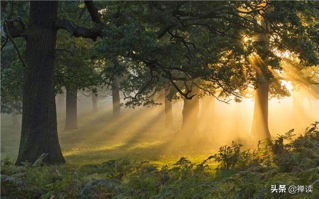 「大大说」说能说的话，做可做的事