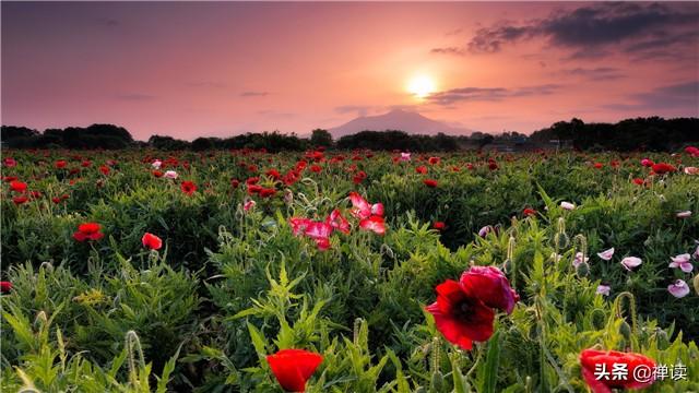 [健身励志训练营]拿不起，就会庸庸碌碌；放不下，就会疲惫不堪