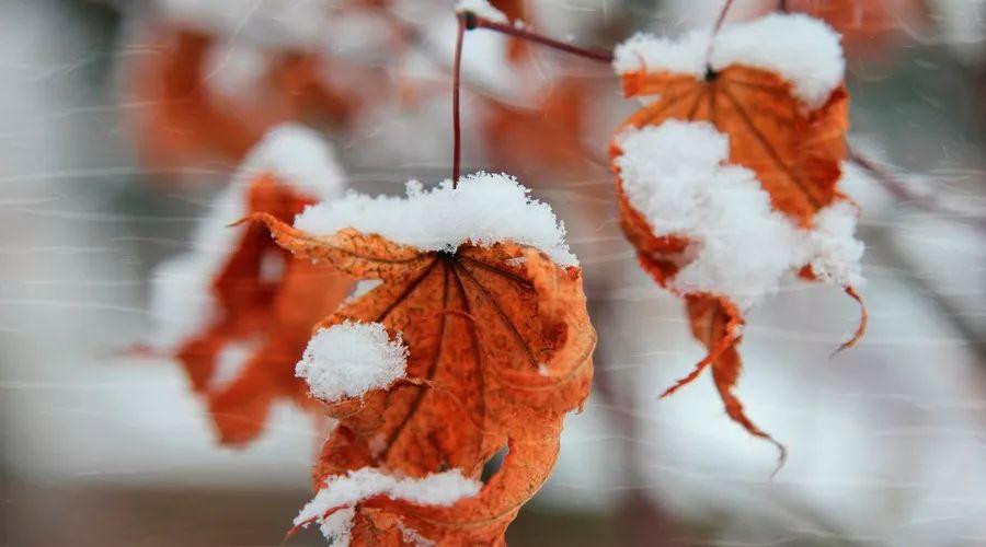 「一坐」别讨好一个不在乎你的人