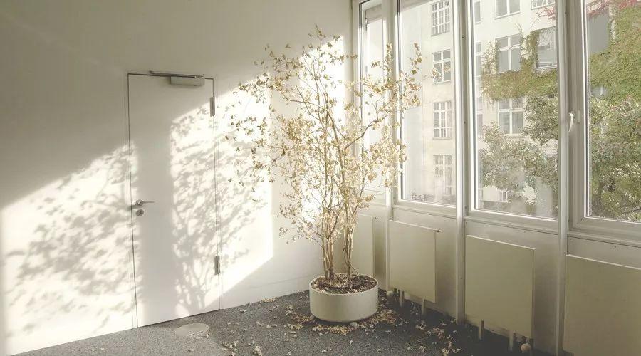 「一坐」别讨好一个不在乎你的人