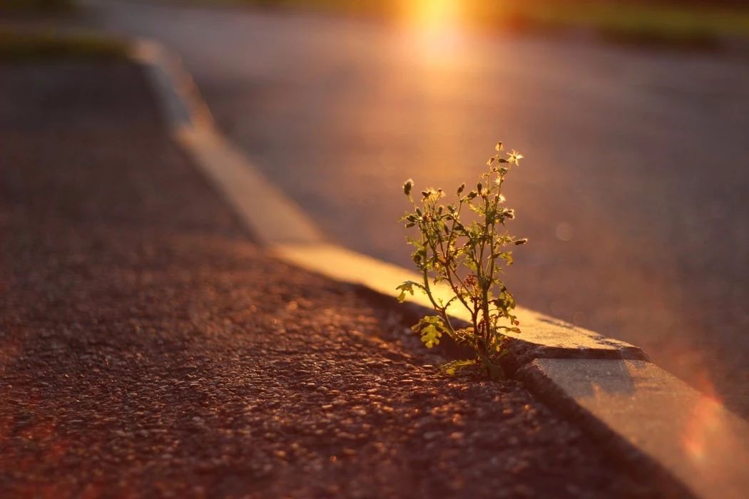 净物■为人处世的3点建议