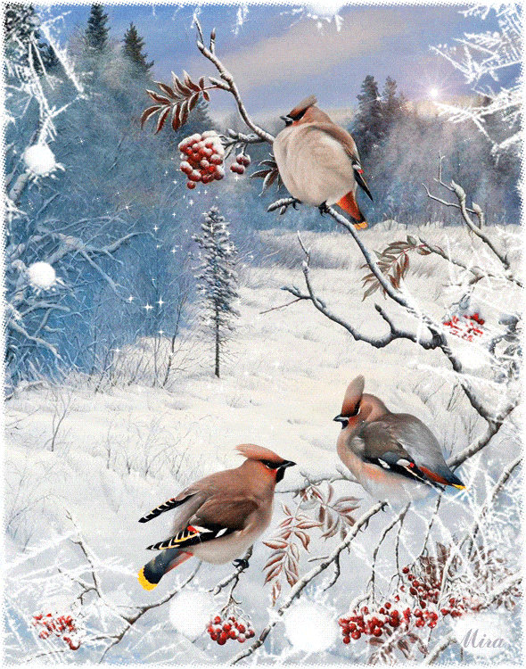 柠檬美文■老同学，请珍重！