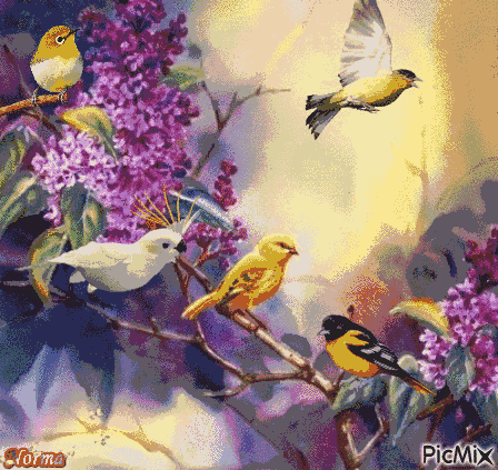 柠檬美文■老同学，请珍重！